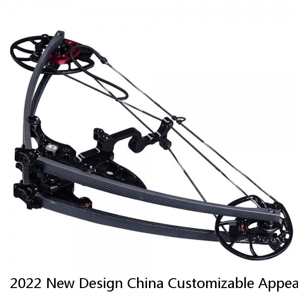 2022 New Design China Customizable Appearance Powerful Youth Archery Compound Bow Outdoor Hunting Shooting Bow And Arrow Set