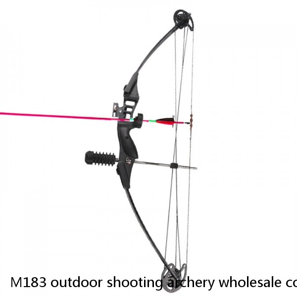 M183 outdoor shooting archery wholesale compound bow for hunting