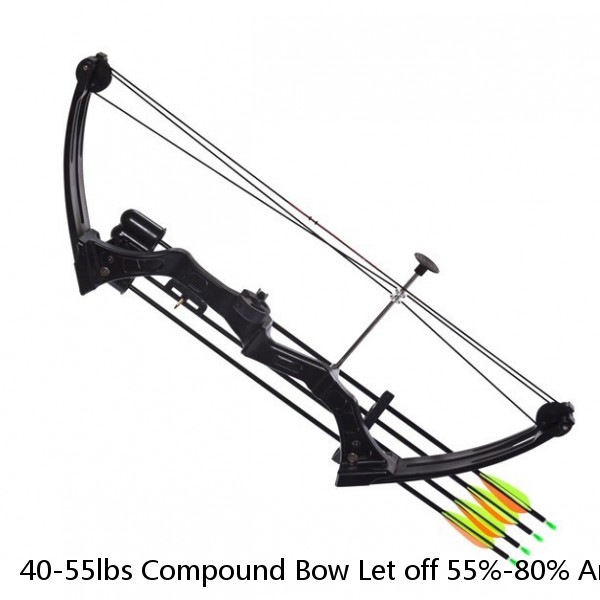 40-55lbs Compound Bow Let off 55%-80% Archery Hunting Fishing Outdoor Shooting