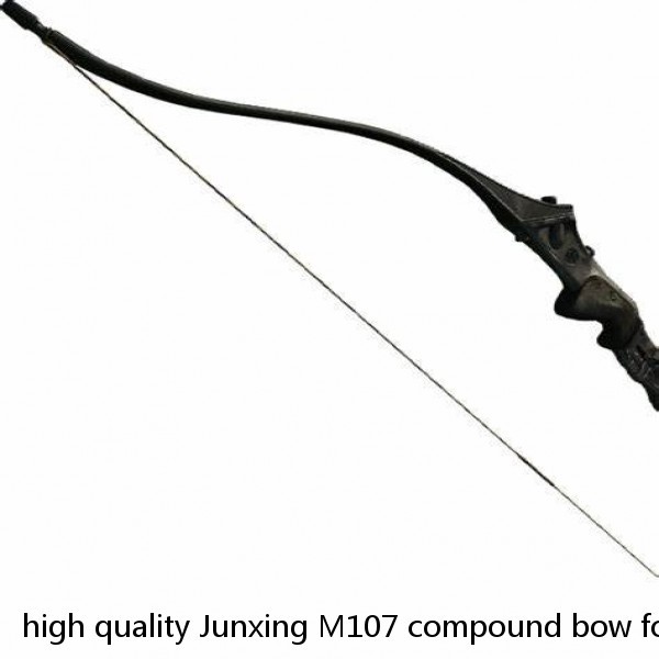 high quality Junxing M107 compound bow for hunting