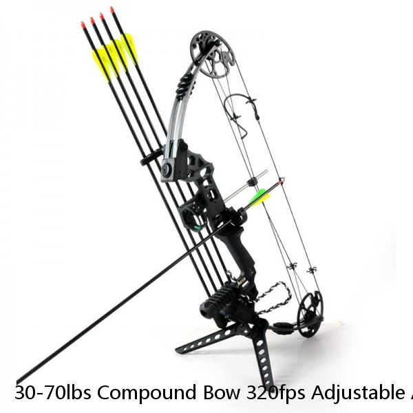 30-70lbs Compound Bow 320fps Adjustable Arrows Kit  Archery Hunting Target
