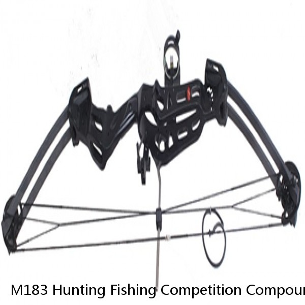 M183 Hunting Fishing Competition Compound Bow for shooting Archery Arrow 30-50lbs Aluminum Riser Laminated Limbs
