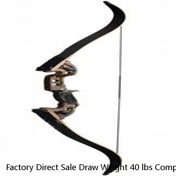 Factory Direct Sale Draw Weight 40 lbs Complete Survival Bow Takedown Recurve Bow Set