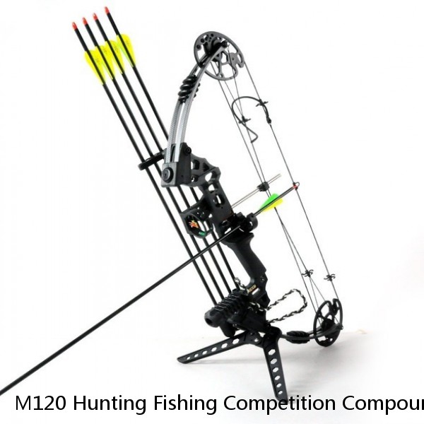 M120 Hunting Fishing Competition Compound Bow for shooting Archery Arrow 20-70lbs Aluminum Riser Laminated Limbs
